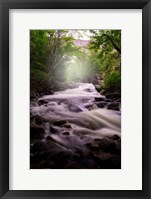 Framed Spring Flow at Duck Brook