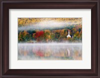 Framed Autumn in New Hampshire