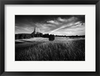 Framed Devils Tower Black & White