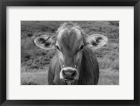 Framed Dairy Barn BW