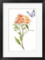 Framed Wild for Wildflowers II