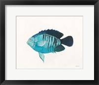 Framed Ocean Life I