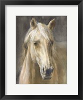 Framed Palomino