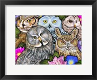 Framed Owls