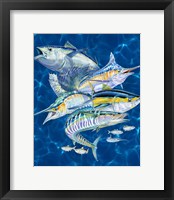 Framed Gamefish