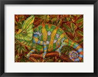 Framed Chameleon Veiled