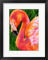 Framed Flamingo