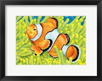 Framed Clownfish