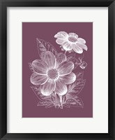 Framed Dahlias Purple Flower