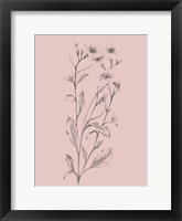 Pink Flower Sketch Illustration Framed Print