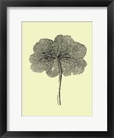 Floating Leaf II Framed Print