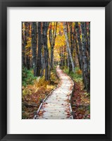 Framed Autumn Boardwalk I