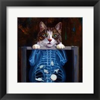 Framed Cat Scan