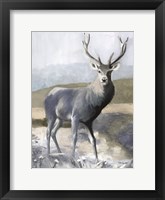 Framed Elk in the Wild