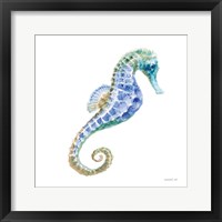 Undersea Seahorse Framed Print