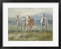 Framed Rangeland Horses