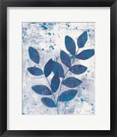 Leaves of Blue II Framed Print