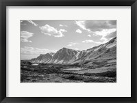 Framed Wyoming Wonder