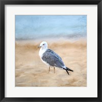 Framed Seagull