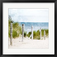 Framed Pathway To The Beach