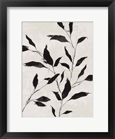 Noir Botanical Framed Print