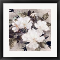 Whisper Blooms II Framed Print