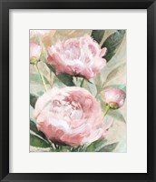 Framed Bountiful Peonies