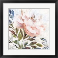 Peony Melody II Framed Print