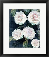 Peony Melody III Framed Print