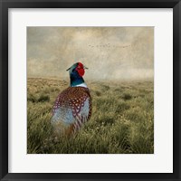 Framed Have a Very Pheasant Day