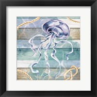 Jellyfish Framed Print