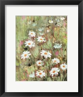 Framed Daisy Field I