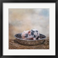 Framed This Little Piggy