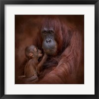 Framed Mother's Love