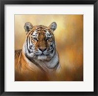 Framed Tiger Queen