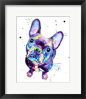 Framed Dark Frenchie