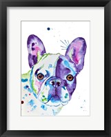 Framed Frenchie No. 2