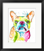 Framed Colorful Frenchie