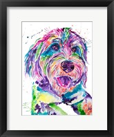 Framed Colorful Bernedoodle