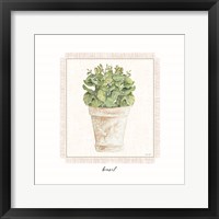 Framed Fresh Basil