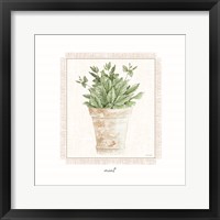 Fresh Mint Framed Print