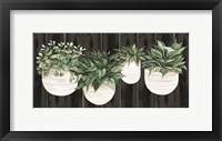 Framed Potted Plants on Barnwood