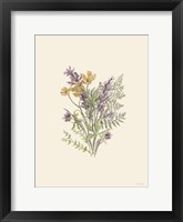 Botanical Mix II Framed Print