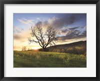 Framed Clark Valley Sunset