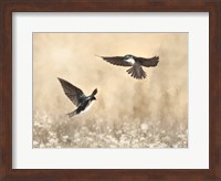 Framed Dance of the Swallows