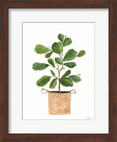 Framed Basket Planter 3