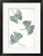 Framed Ginkgo 1 Green