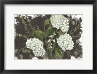 Framed Hydrangeas in White