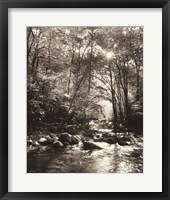 Framed Little Pigeon River Portrait