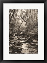 Framed Alum Cave Trail